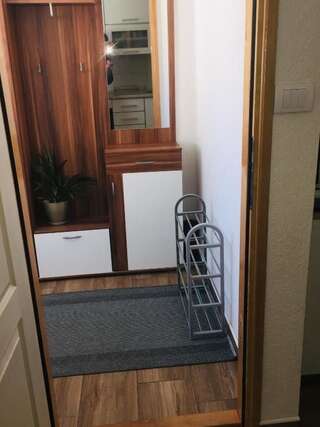 Апартаменты Holiday home Nikola Жабляк Апартаменты с 1 спальней-36