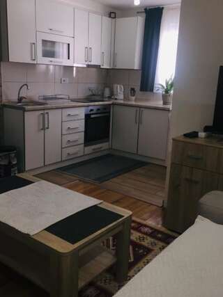 Апартаменты Holiday home Nikola Жабляк Апартаменты с 1 спальней-39